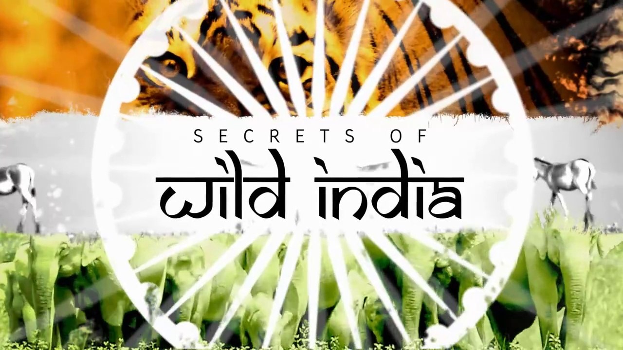 Sir David Attenborough - Secrets of Wild India Season 1 Ep3 - Desert Lion