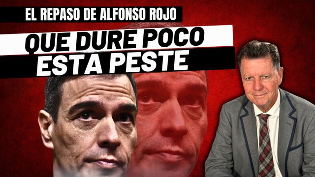 Alfonso Rojo: “Manual para chupapingas y facinerosos que ambicionen cargo en el Régimen Sanchista”