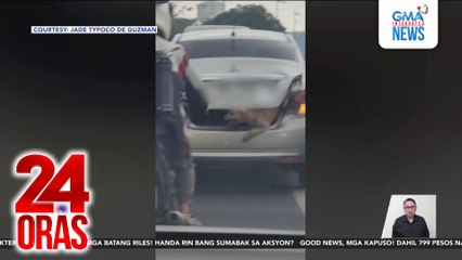 Aso sa trunk, pinuna ng animal lovers; maayos ang lagay nito ayon sa kapatid ng driver | 24 Oras