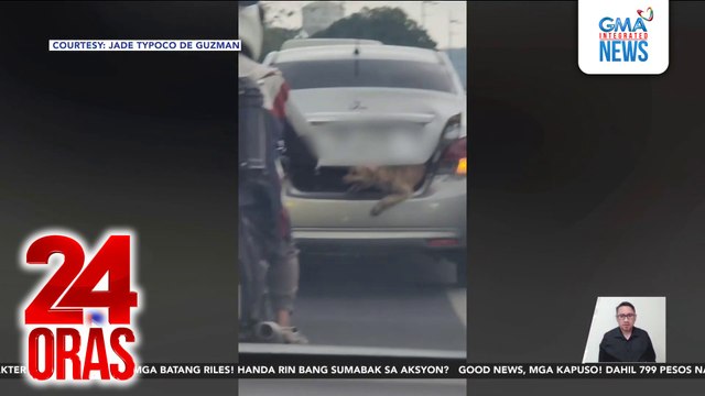 Aso sa trunk, pinuna ng animal lovers; maayos ang lagay nito ayon sa kapatid ng driver | 24 Oras