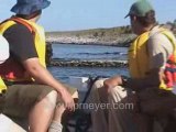 Galapagos Islands travel: First Panga ride.