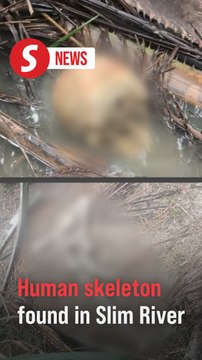 Human skeleton found in Slim River oil palm plantation