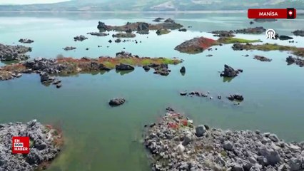 Manisa’da lav kalıntıları göçmen kuşların üreme alanı oldu