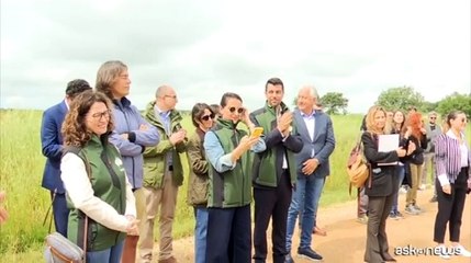 Iberdrola Italia inaugura il terzo impianto fotovoltaico