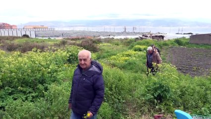 Rtp Telegiornale del 8 maggio 2025