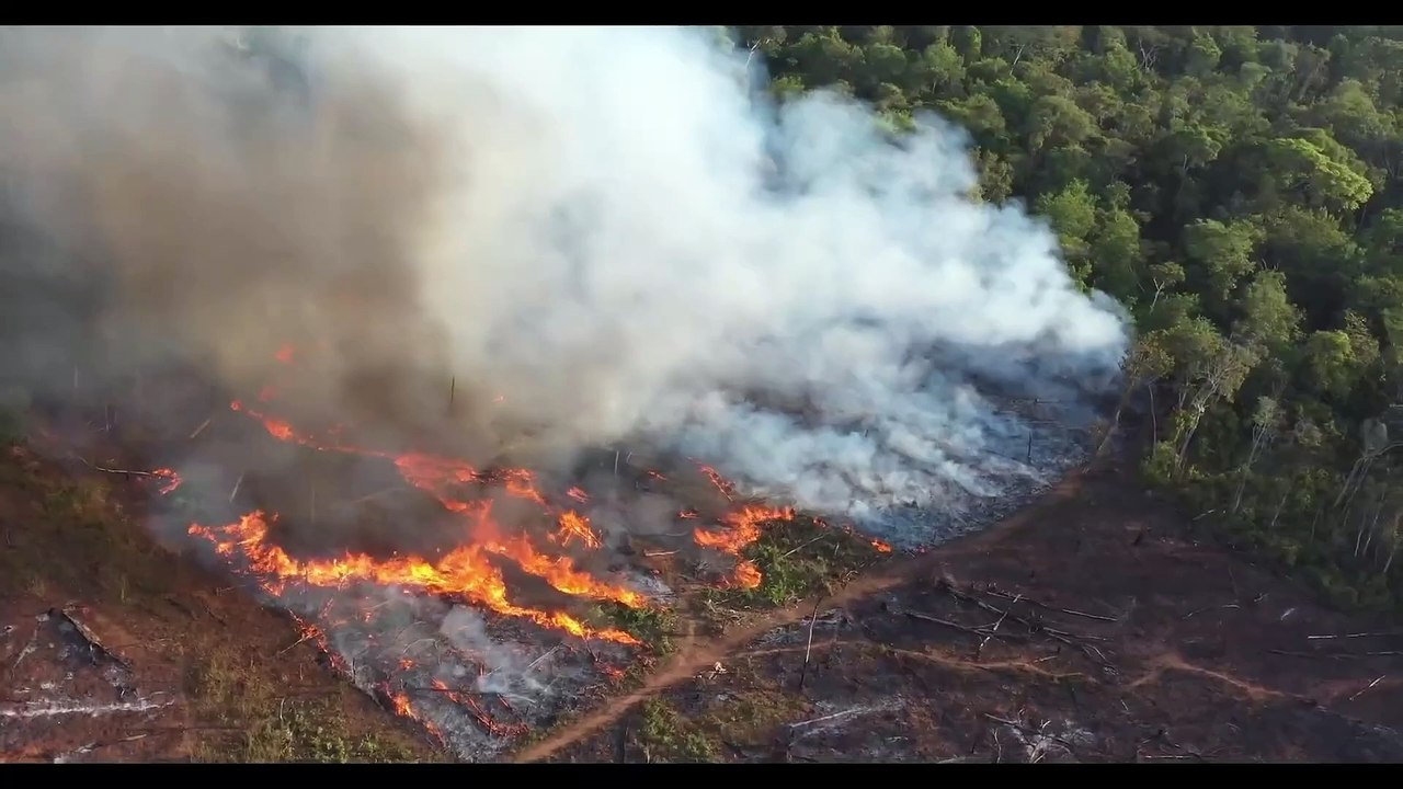 We Are Guardians (Somos Guardiões) - Official U.S. Trailer