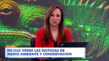 Inteligencia artificial y agua