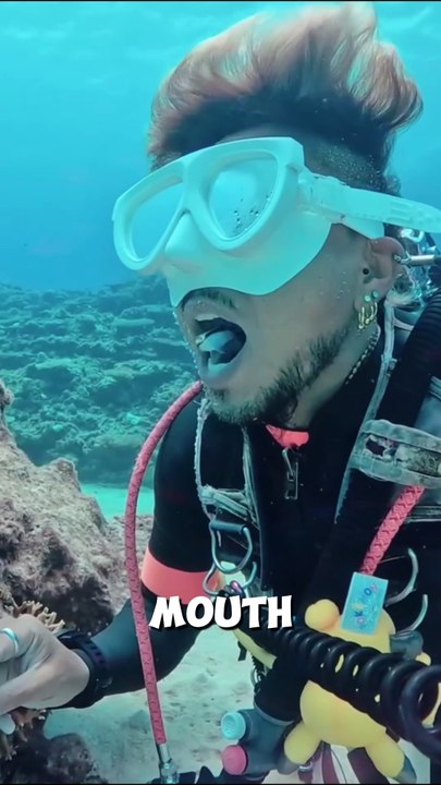 Do You Need This Service | Cleaner Fish