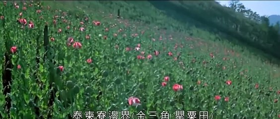 เชือด เชือด นิ่มนิ่ม