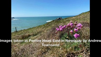 Images taken on the Pentire headland at Newquay in Cornwall by Andrew Townsend