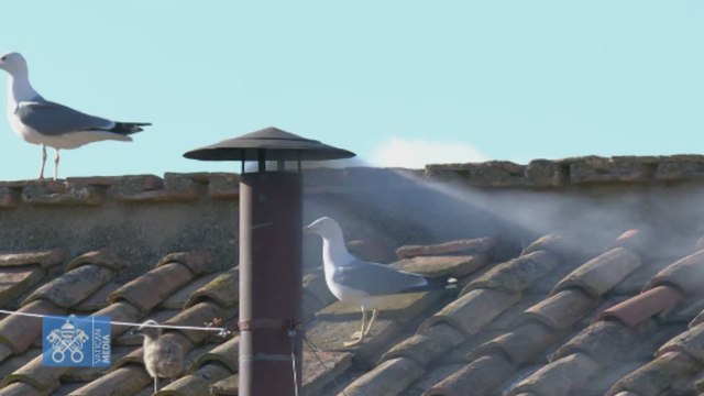 La reazione travolgente di Piazza San Pietro alla fumata bianca: esplode la gioia per il nuovo Papa