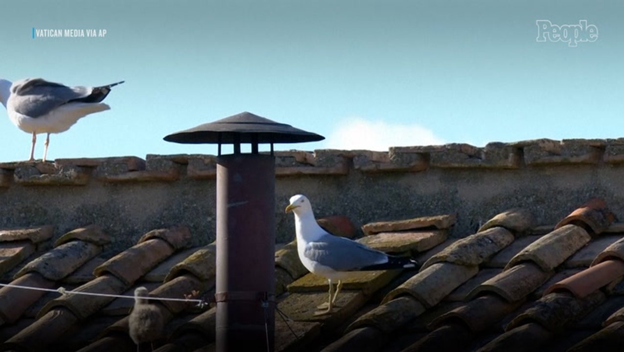 White Smoke Signals New Pope Has Been Elected in 2025 Papal Conclave