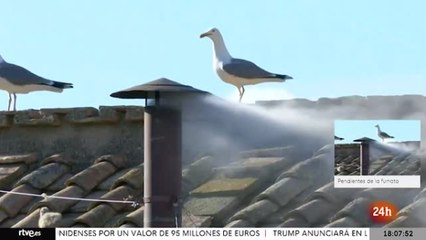 Il momento in cui spunta la fumata bianca dal comignolo: l'annuncio delle tv straniere