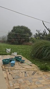 Last night, large hailstones fell in Annaba, eastern Algeria, causing significant damage across the city. The violent hailstorm shattered windows, damaged vehicles, and destroyed crops in surrounding agricultural areas.