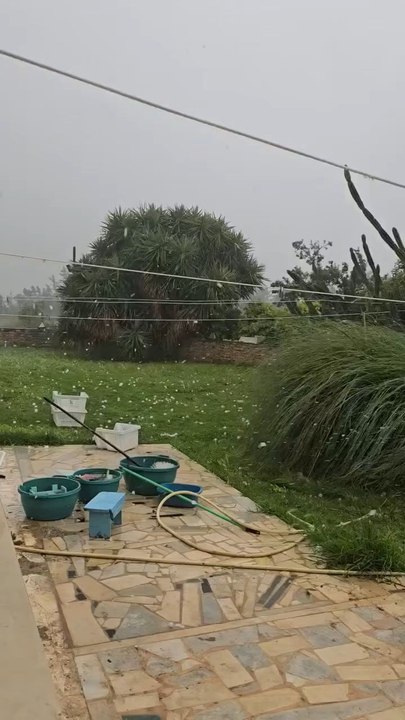 Last night, large hailstones fell in Annaba, eastern Algeria, causing significant damage across the city. The violent hailstorm shattered windows, damaged vehicles, and destroyed crops in surrounding agricultural areas.
