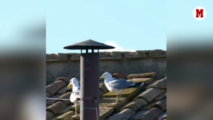 La surrealista escena segundos antes de la fumata blanca