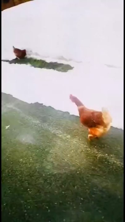 Tu en as ?