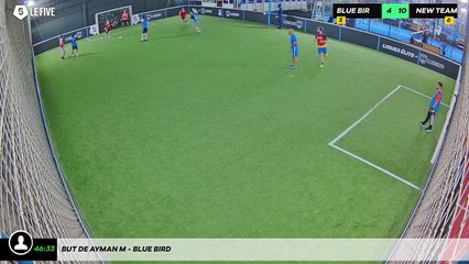 But de Ayman M - Blue Bird