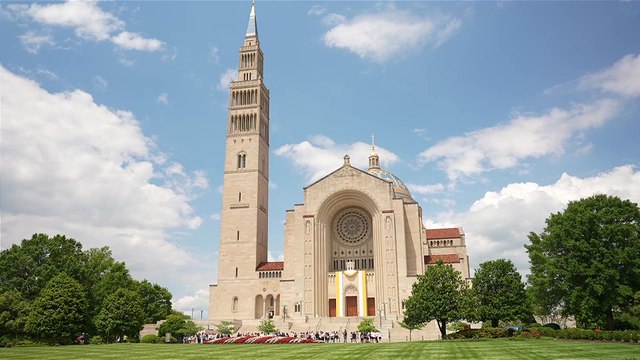 Americans in Washington DC welcome the election of Pope Leo XIV