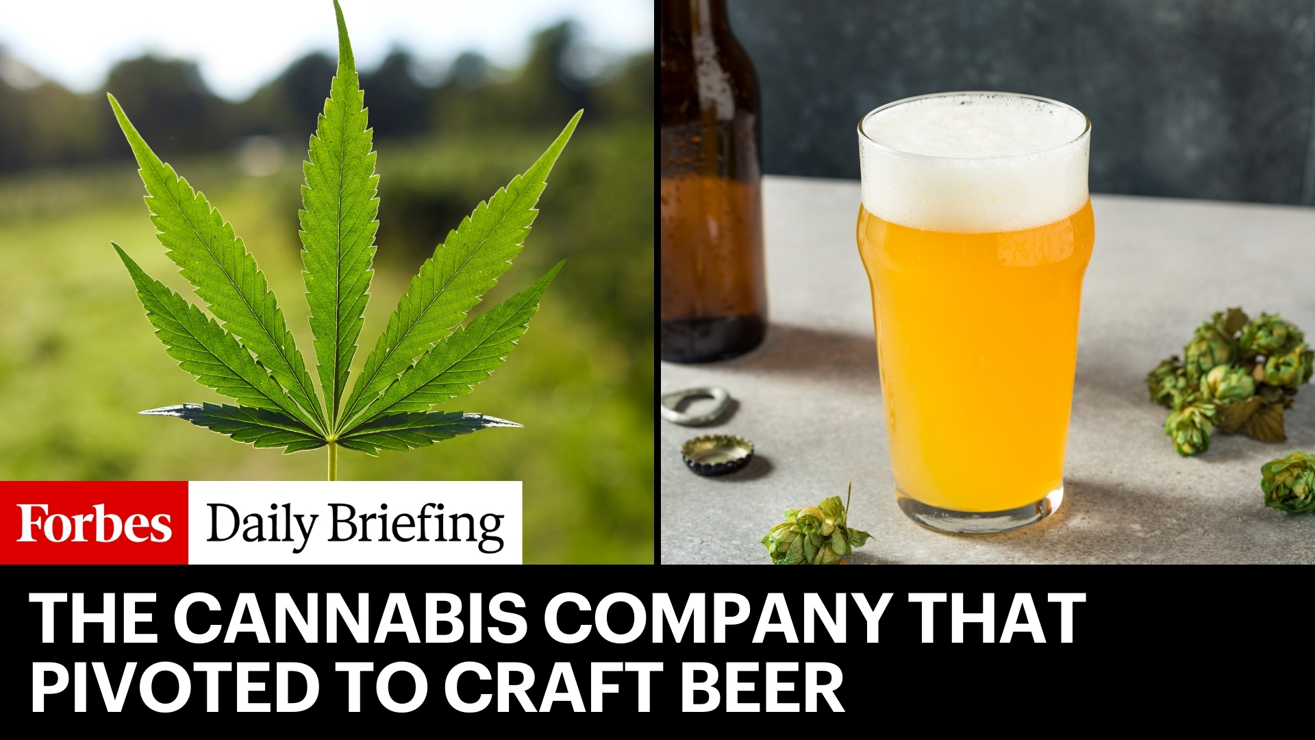 From Cannabis Darling to Beer Enthusiast: The Rise of Tilray
