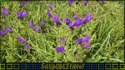 Aşk ve Güzel Sözler / Sevgi Dolu Bir Paylaşım