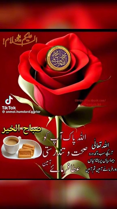 اسلامی ویڈیوز