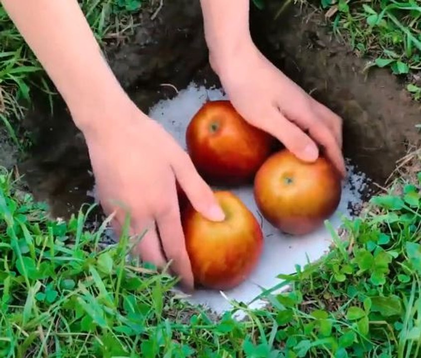 Sow Smart, Live Simple! Clever Farm Living Ideas!