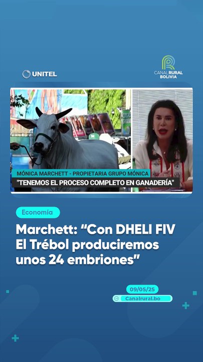 Marchett: “Con DHELI FIV El Trébol produciremos unos 24 embriones”