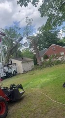 Arborist Gets Bounced From Boom