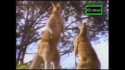 La Batalla de los Sexos en el Mundo Animal: Asuntos Familiares - Documental (1999) - Español Latino - Episodio 5