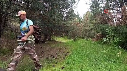 Bursalı doğa tutkunu, yaban hayatını kayıt altına alıyor