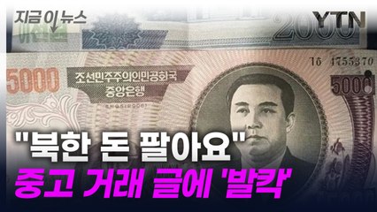 "실제 북한 사람과 교환 지폐 팔아요"....당근에 올라온 황당 게시글 [지금이뉴스] / YTN