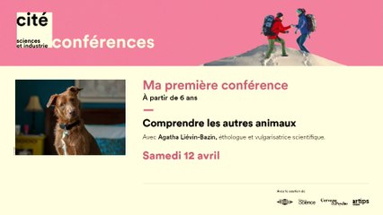 Décoder le langage des animaux : Que signifient leurs gestes et comportements ? 🐾