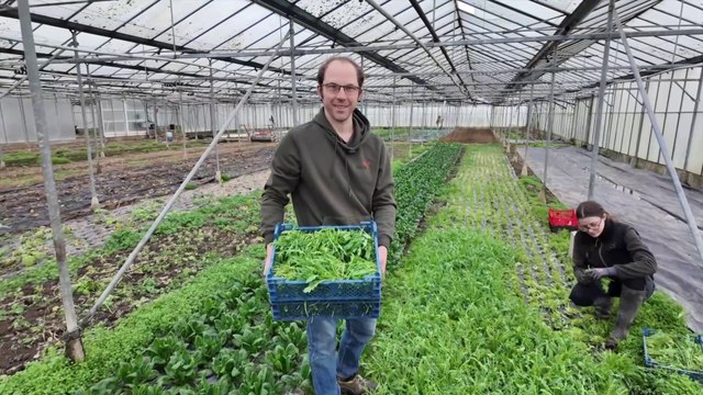 Bio DK - Maraicher Bastien Danneels - Halles aux Sœurs Blanches - Dunkerque