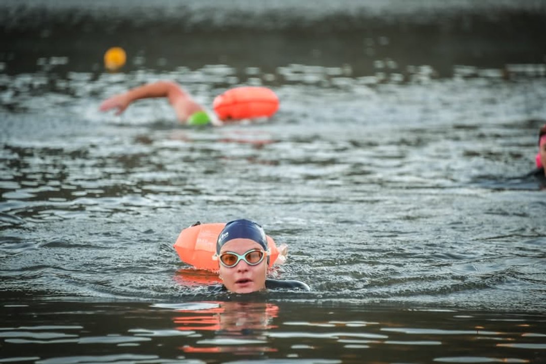 The dawn swimmers of Lake Burley Griffin