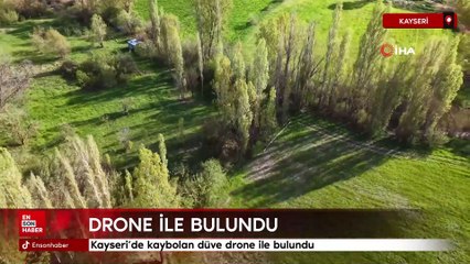 Kayseri'de kaybolan düve drone ile bulundu