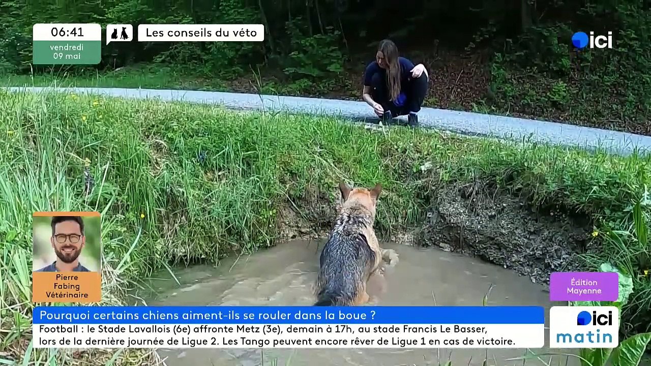 09/05/2025 - ici matin par ici Mayenne en vidéo