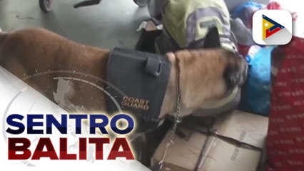 PCG, naka-full alert status na bilang bahagi ng Oplan Biyaheng Ayos