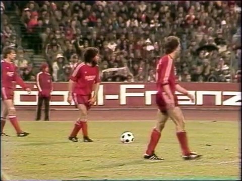 Championnat d'Allemagne de football 1981-1982 - Wikipédia