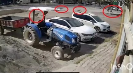 Başıboş köpeklerin saldırısında son anda kurtuldular...