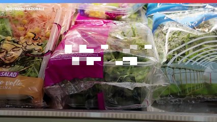 Una foresta di insalata: intervista a Sara Menin