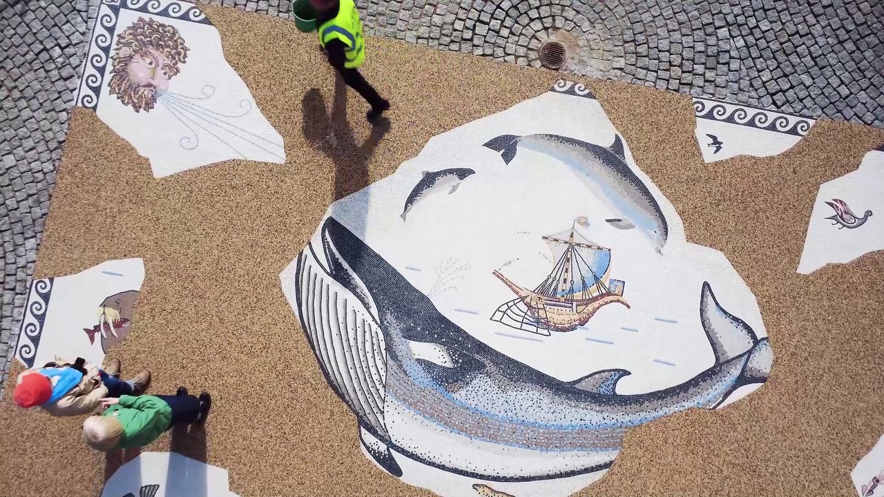 Wild Eye's new Seawatching Station in Scarborough