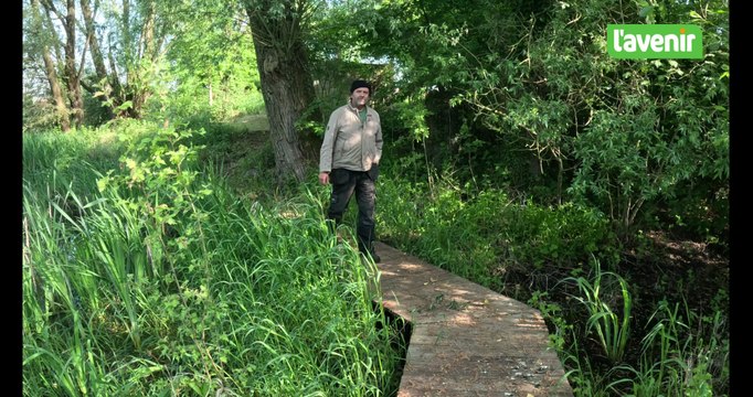 Visite au cœur de la réserve naturelle du Pic au vent à Tournai