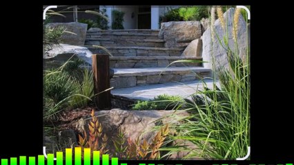 Dairy-Free Is NOT What I MEAN By Love! Apna Tv New York 09-05-2025