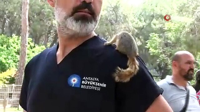 Antalya Doğal Yaşam Parkı’nda annesiz misafirlere Anneler günü kutlaması