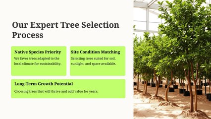 Plant the Future Professional Tree Installation by GBA Tree Service