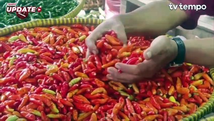 Istana Respons Pelemahan Ekonomi di Tengah Kebijakan Efisiensi