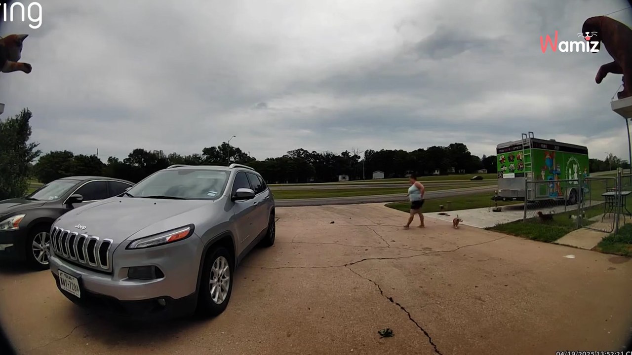 Wilde Verfolgung auf der Autobahn, nachdem skrupellose Frau etwas weggeworfen hat (Video)