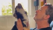 Antonio Banderas i jego pies w operowym duecie. Publiczność jest zachwycona!