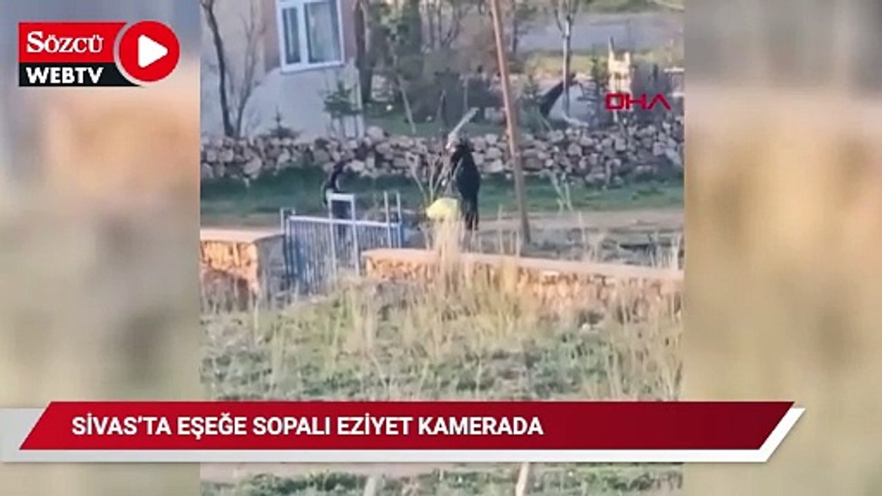 Eşeğe sopalı eziyet kamerada